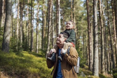 Father and son outside in the woods, the boy is on the dad's shoulders