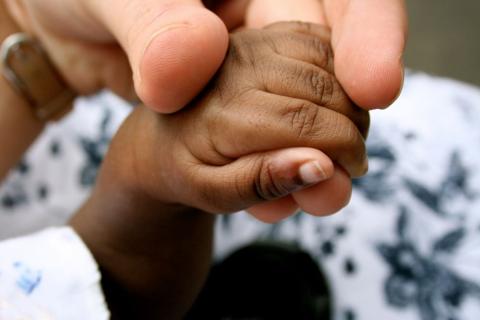 Close up of the hands of a premature baby and their parent.