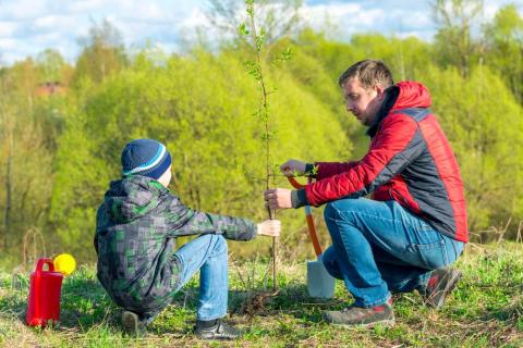 Father and son chatting while planting a tree outdoors.